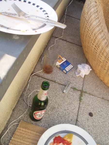 dieweltzugastbeimgrillen - 29